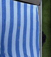 Pool & Beach