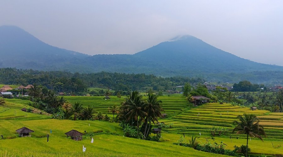 Day tour ⭐The Jatiluwih Rice Terraces in Bali are a truly spectacular sight, and a very important part of Balinese cultural and agricultural heritage. Here's a breakdown of key information:  * UNESCO World Heritage Site:    * Jatiluwih is recognized by UNESCO as a World Heritage site, highlighting its cultural landscape and the traditional Subak irrigation system.  * Stunning Scenery:    * The terraces offer expansive and breathtaking views of verdant, undulating rice fields