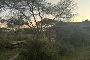 Seyahat Eden