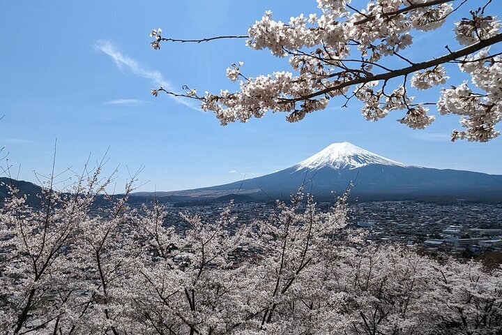 DONEK World Coltural Heritage Mt.fuji（Mt. Fuji World