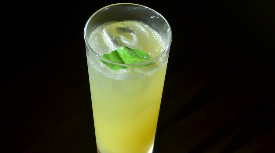 Citrus Highball