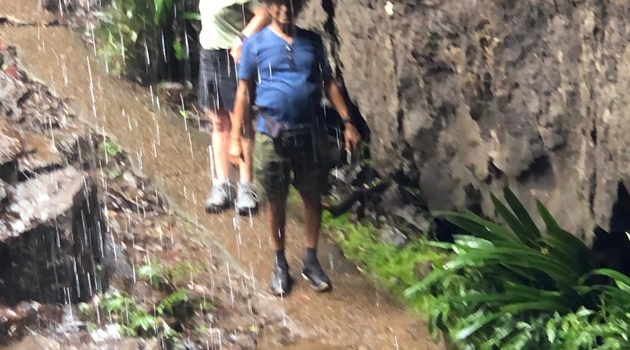 Path behind Blackfellow falls