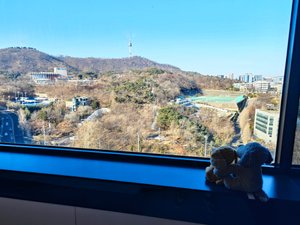 객실 및 스위트