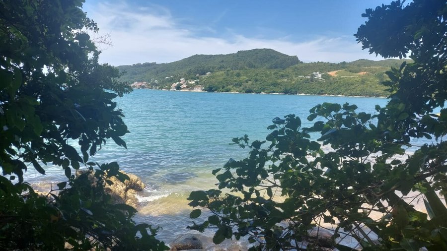 parte del paisaje antes de llegar al embarcadero de la posada.. podes pescar .. 