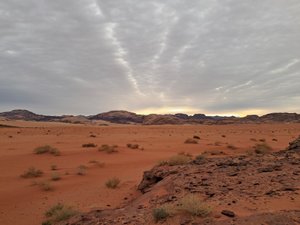 المسافر