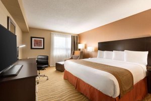 Room & Suite