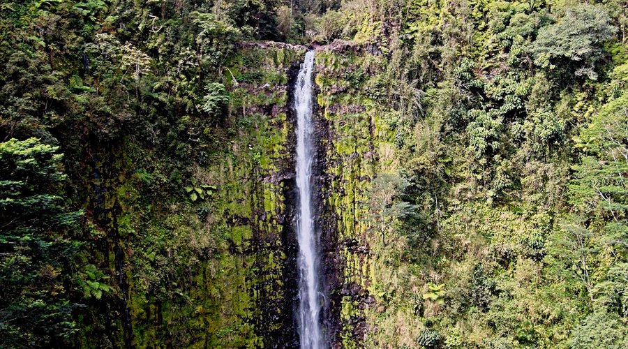 Akaka Falls, at 482 feet, are pretty spectacular