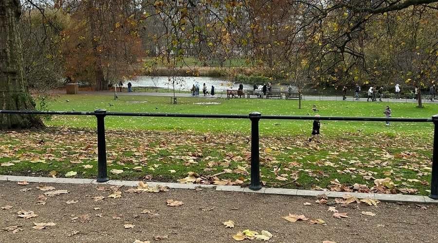 A person walking through St. James’s Park
