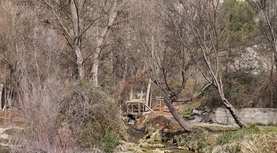 Zona con facil aparcamiento, algunas mesas para comer pero no para hacer barbacoas,el bosque de las higueras está justo a la izquierda del parking y casi al lado,hay que cruzar un puente paseando y llegas. Estaban arreglando la zona. Hacia la derecha del parking puedes hacer un paseo de 2.5km ida y otros 2.5km vuelta,junto al cauce del río,viendo animales autóctonos. Es un paseo sin dificultad,agradable. No lo terminamos. Puedes ir con mascota. Carritos no recomiendo, es carril de tierra/piedras