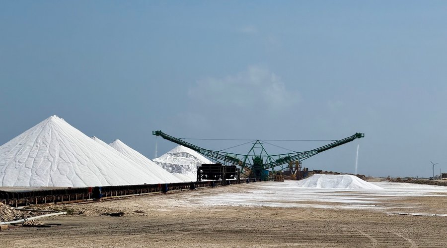 Salt!
