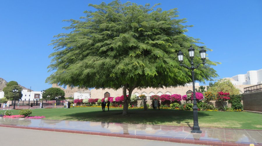 Palace Grounds
