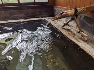 客室 & スイート