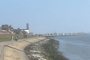 Viajero