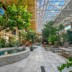 Atrium : Détente en jardin tropical