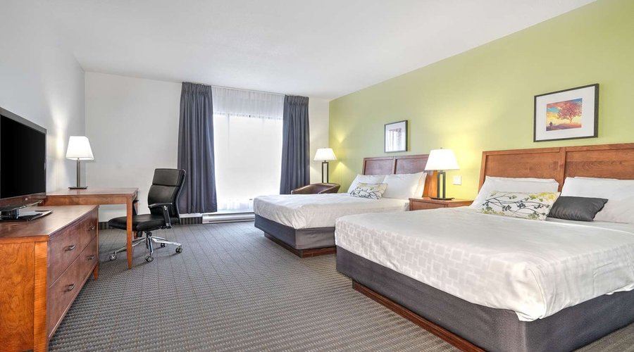 Guest room with queen bed(s)