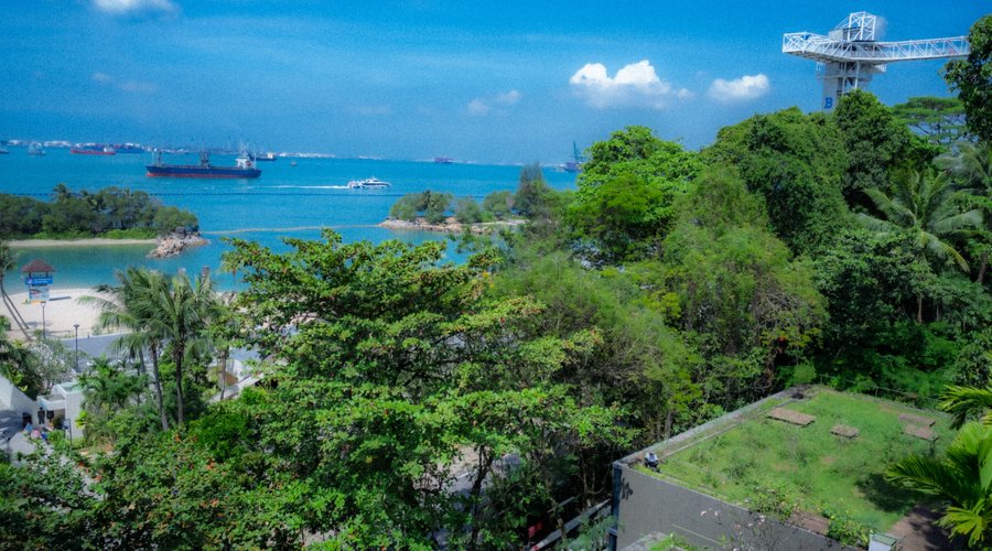 From the rooftop's height, a vision unfolds,  a canvas of beauty, where stories are told.