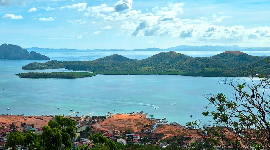view