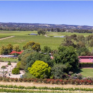 Over head view of Mulberry Lodge sitting between vines and with the Willunga Hils in the background