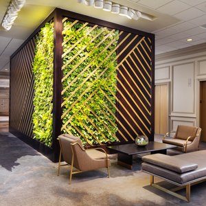 Living Wall