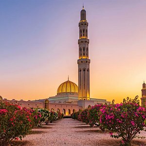 أفضل 10 أماكن يجب زيارتها في مسقط - متنزه القرم الوطني