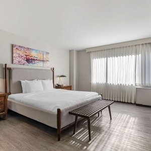 Guest room with king bed(s)
