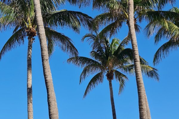 Miami Beach