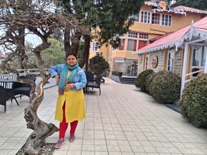 Traveller