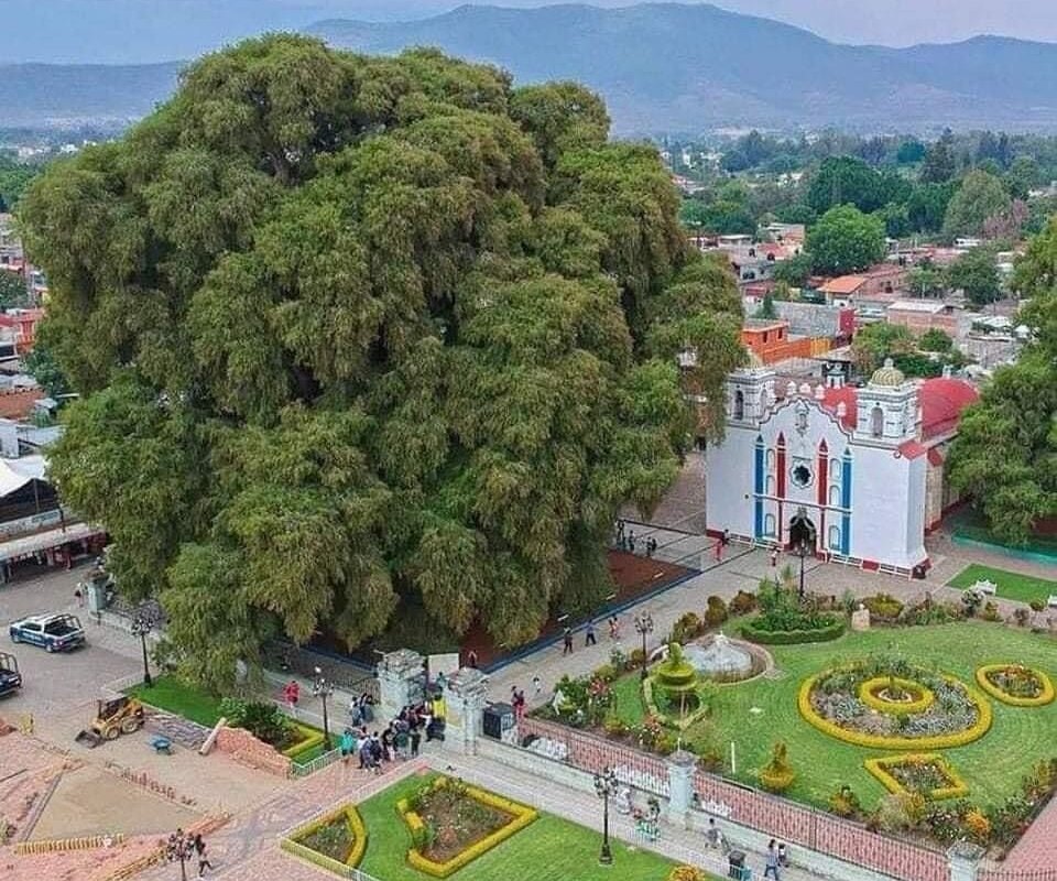 EXPEDITION TRAVEL (Oaxaca) - Qué SABER antes de ir (2025)