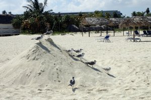 Piscina e praia