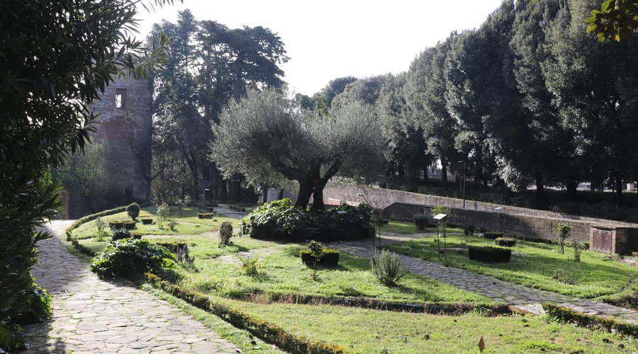 Giardino Basilica di San Pietro