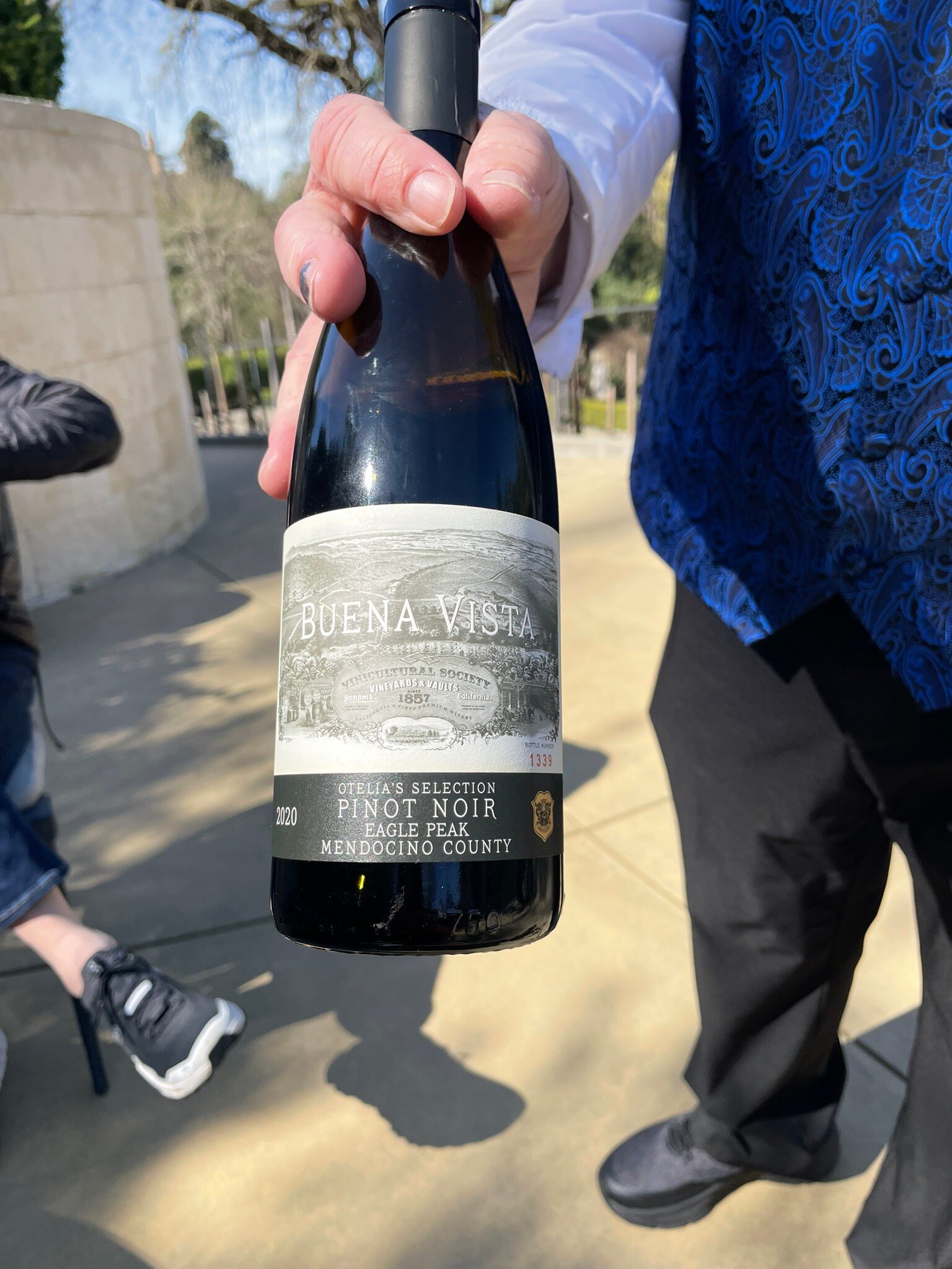 Buena Vispa 2019 ブエナビスタ ナパバレー ワイン Buena Vista 2019 Chateau Buena Vista Cabernet Sauvignon