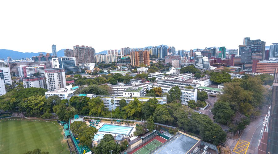 Corner Park View