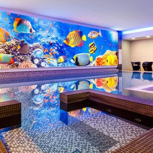 Indoor Swimming Pool