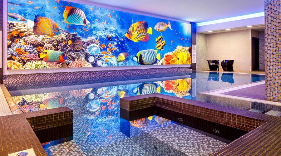 Indoor Swimming Pool