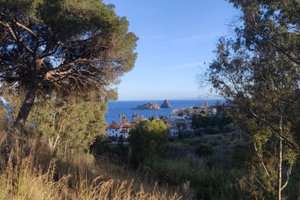 Viaggiatori
