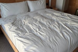 旅行者の写真
