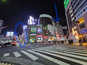 旅行者の写真
