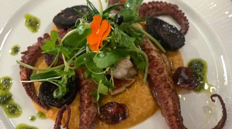 Octopus / Polvo