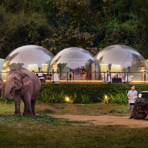 Jungle Bubble Lodge