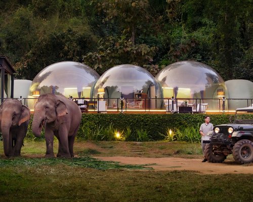 Elephant Bubble In A World Where You Can Be Anything Be Kind