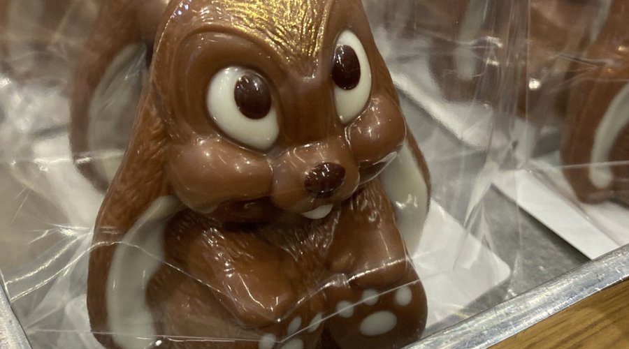 Bei uns finden Sie aktuell eine Auswahl an unterschiedlichen Osterhasen.