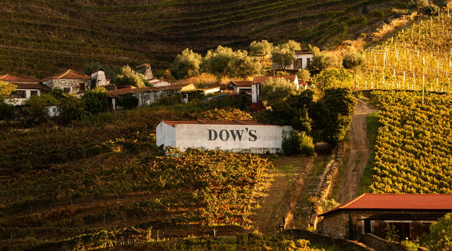 Dow's