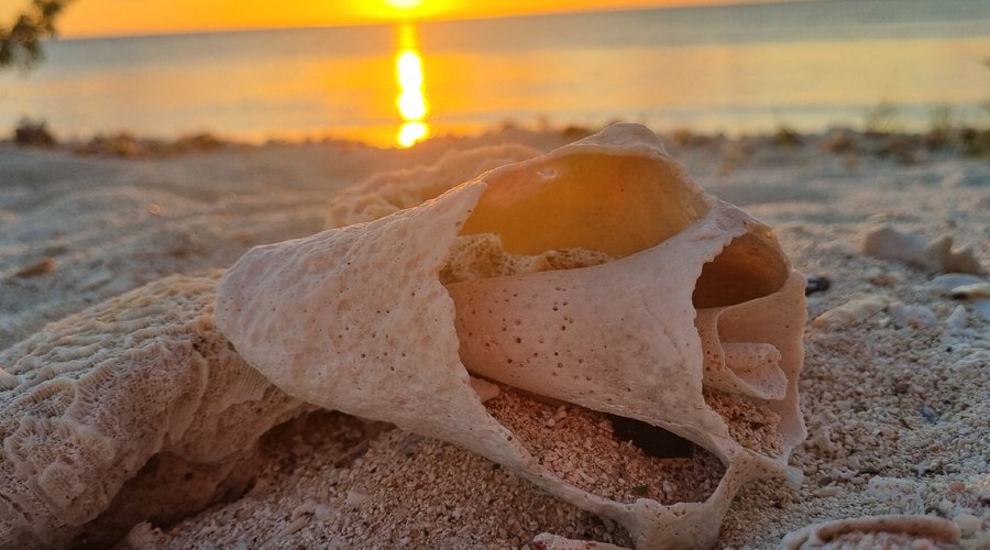 Las mejores playas en Aruba Eagle Beach
