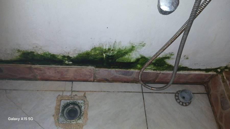MOISISURES DOUCHE