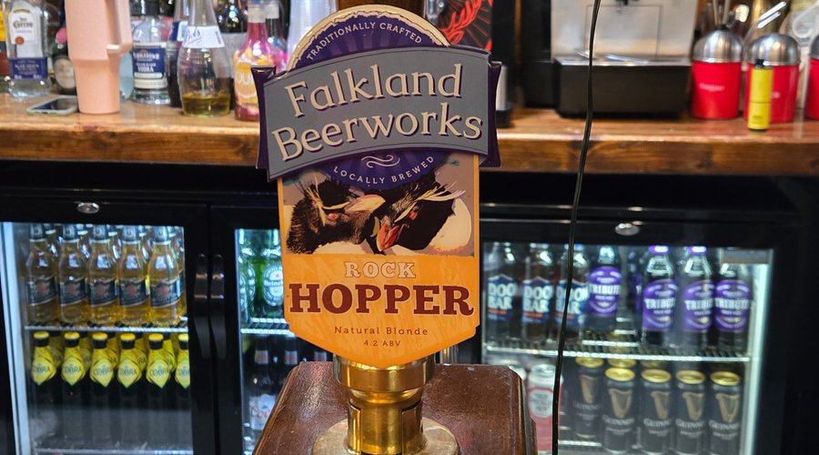 Local Beer 