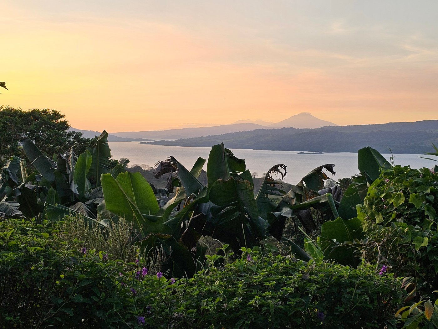 NEPENTHE B&B - Updated 2025 Prices & Reviews (El Castillo, Costa Rica) NEPENTHE B&B - Updated 2025 Prices &  Reviews (El Castillo... 