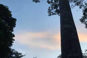 客房和套房