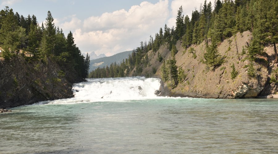 Cascada Bow