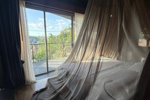 旅客