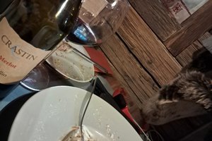 Viaggiatori